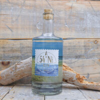 Gin-1